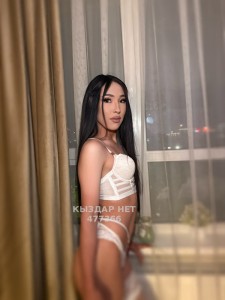 Транс Шымкента Транс№477366 Миленда Фотография №3754996