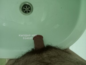 Жиголо Костаная Парень№514025 Тоха Фотография №3837320